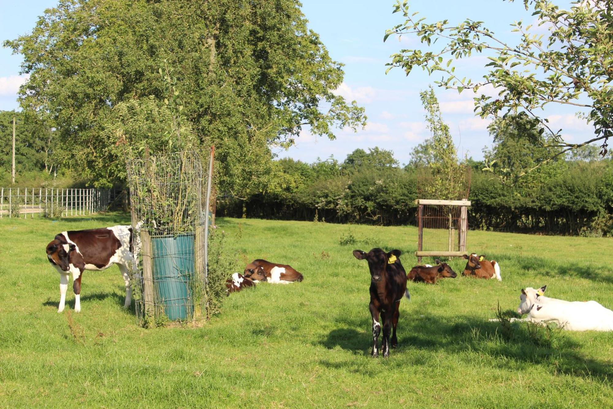 Parkfields Barns Self Catering Accommodation Buckingham Bagian luar foto