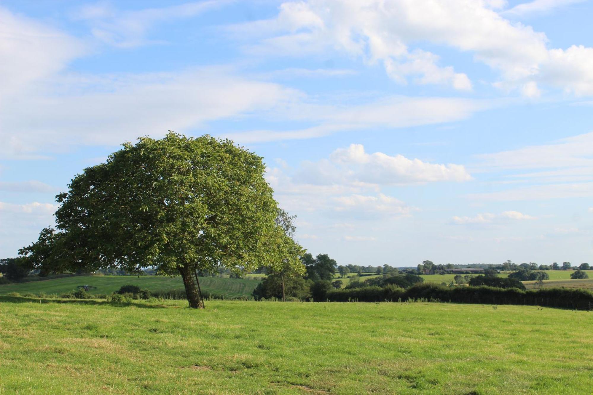 Parkfields Barns Self Catering Accommodation Buckingham Bagian luar foto